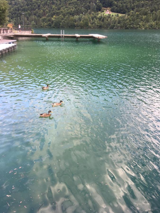 Casa A Schiera Fronte Lago Con Giardino Barcis Ngoại thất bức ảnh